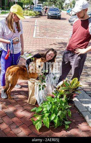 Orlando Winter Park Florida, Downtown, historisches Viertel, Bauernmarkt, wöchentlich Samstag im Freien, Mann Männer Erwachsene Erwachsene, Frau Frauen Dame Erwachsene Stockfoto