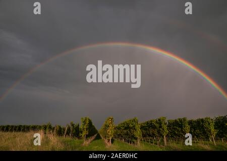 Double Rainbow über ein Weingut im Elsass, Bas-Rhin (67), Grand Est Region, Frankreich Stockfoto