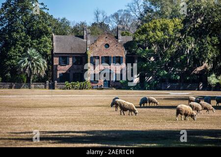 Historisches Middleton Place Southern Plantation House, Charleston, South Carolina, USA, Sklaverei USA Slave Plantage House Jahrgang Stockfoto