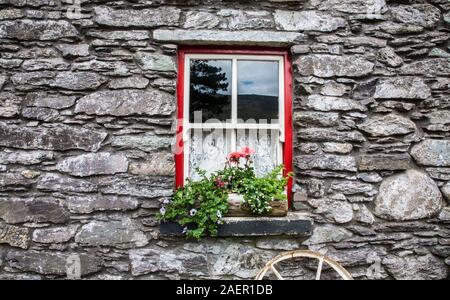 Steinhaus Hungersnot Cottage rote Fenster von Molly Gallivan & Blumentopf Blumen, Bonane County Kerry, Kenmare, Irland, historische Fensterbank Stockfoto