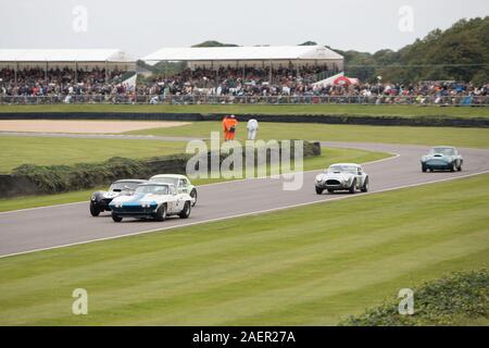 1965 Chevrolet Corvette Stingray Craig Davies Steve Soper RAC TT Feier Goodwood Motor Racing Chichester West Sussex Stockfoto