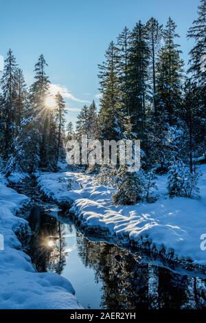 Die Sonne spiegelt sich in den verschneiten, winterlichen Wald, Bach, der schafft eine ruhige und friedliche Atmosphäre. Diese Stimmung lädt Sie ein zum Wandern in diese wunderbar Stockfoto