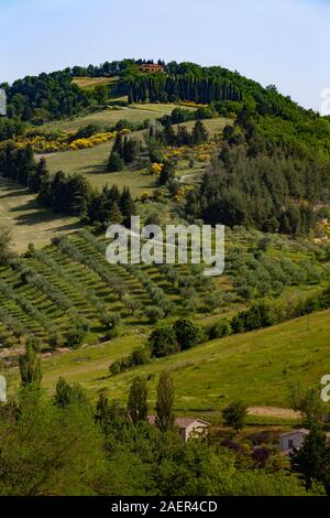 Bevagna ist ein kleines Dorf auf einem Hügel in Umbrien, Italien, von Hügeln und Bauernhöfen umgeben. Stockfoto
