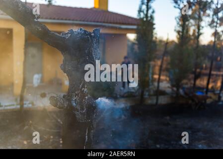 Bleibt einer verkohlten noch Rauchen in einem Bauernhaus Anmelden nach dem Brand erklärte in der Nähe von Caceres Stockfoto