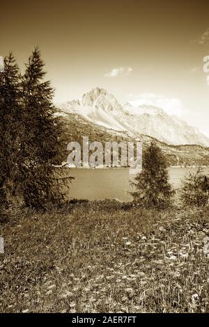 Wandern rund um Silser See - Oberengadin - Schweiz - Getonten Bild Stockfoto