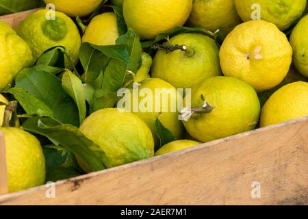 Frische reife, gelbe Zitronen mit grünen Blättern im Holzkasten am Markt mit frischen Lebensmitteln Stockfoto