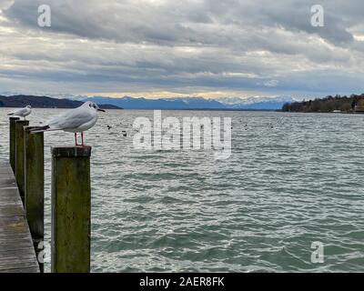 Die Möwen sitzen auf dem Pier in der Deutschen See tarnberger Siehe 'in Bayern Stockfoto