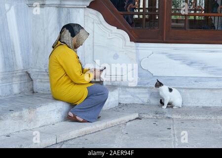 Istanbul, Türkei - 7. September 2019. Eine Frau, die mit ihrem Handy zu fotografieren, einer der Fatih Moschee ansässigen Katzen Stockfoto