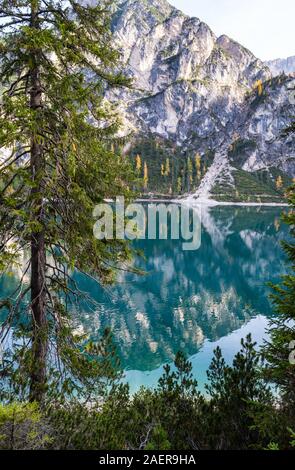 Herbst friedlichen Bergsee oder Prags Pragser Wildsee. Naturpark Fanes-Sennes-Prags, Südtirol, Dolomiten, Alpen, Italien, Europa. Malerische trave Stockfoto