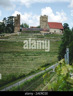 Burg Neipperg im schönen Naturpark Stromberg-Heuchelberg Stockfoto