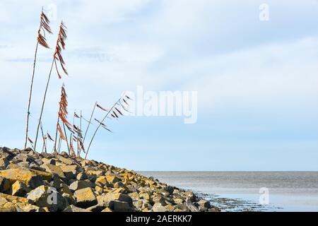 Stangen mit farbigem Seil und Plastik winken im Wind auf Wellenbrechern oder Pier im Wattenmeer nahe der Hafeneinfahrt von Harlingen. Stockfoto