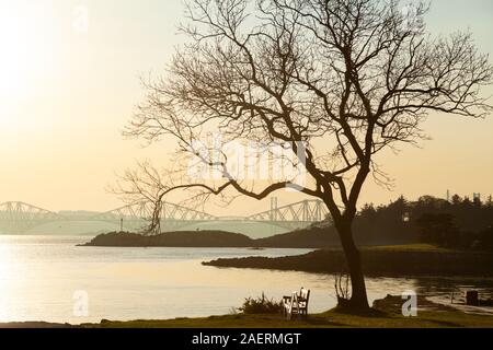 Auf Downing Punkt in Dalgety Bay mit der Forth Bridge in der Ferne, Fife, Schottland, Großbritannien Stockfoto