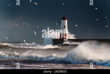 Stürmische Meere brechen über Berwick Pier (1810-1825) von John Rennie, und dem Leuchtturm (1826) nach Entwürfen von Joseph Nelson. Stockfoto