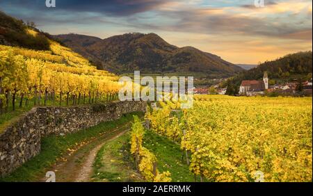 Berühmte Spitz Dorf mit Herbst Weinberge in der Wachau, Österreich. Stockfoto