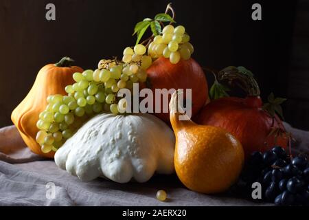 Stilleben mit Kürbis, Kürbis und Traube. Saisonale Gemüse und Obst schön auf dem Tisch gestapelt. Stockfoto