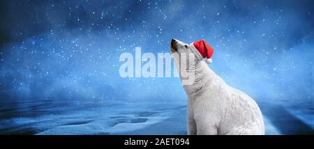 Eisbär Mütze tragen, Schneeflocken und Sky. Frohe Weihnachten und guten Rutsch ins Neue Jahr Konzept, Panorama Mock-up-Bild Stockfoto