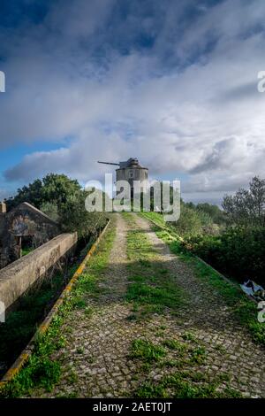 Blick auf einen typisch portugiesische Windmühle auf dem Hügel von Palmela in Portugal in der Nähe von Setubal Stockfoto