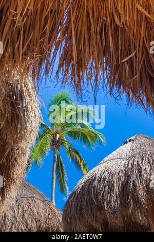 Abstraktes Bild von Palapas und Palmen am Strand an der Riviera Maya in Mexiko in der Nähe von Tulum Stockfoto
