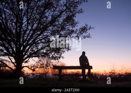 Einsamer Mann sitzt auf Platz neben einem Baum bei Sonnenuntergang von älteren Hill Aussichtspunkt mit Blick über Woolbeding Gemeinsame, Sussex, UK, Dezember suchen Stockfoto