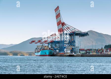 Fariview Container Terminal mit gantry cranes, Prince Rupert, British Columbia. Stockfoto