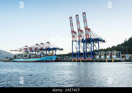 Container Terminal mit Maersk Kokura und Portalkranen, Prince Rupert, British Columbia. Stockfoto