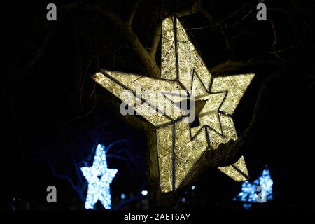 Eine goldene Weihnachten fünfzackigen Stern sitzt auf einem Ast in einem Park bei Nacht, von innen beleuchteten, blaue Sterne im Hintergrund hängen Stockfoto