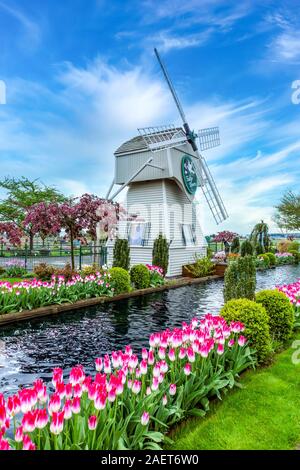 Das Tulip Stadt Windmühle in die skagit Valley, in der Nähe von Mount Vernon, Washington, USA. Stockfoto