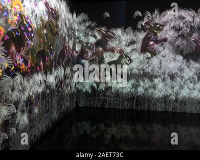 Ansicht der 3D Digitale Kunst in der teamlab Borderless Shanghai Huangpu District, Shanghai, China, 27. November 2019. Durch teamLab Architekten Stockfoto