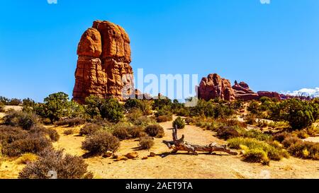 Die hohen und zerbrechlich Sandsteinfelsen Pinnacles in der Wüstenlandschaft des Arches National Park in der Nähe von Moab, Utah, United States Stockfoto