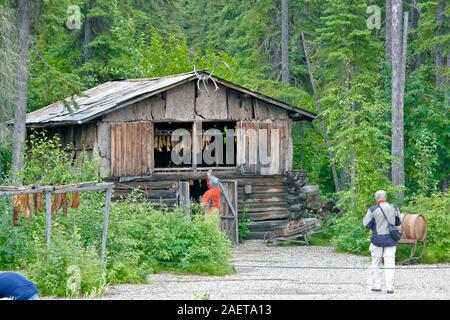 Athabascan native Fische trocknen Haus am Chena Indian Village auf dem Chena River in Fairbanks, AK. Stockfoto