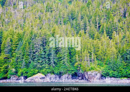 Stark bewaldeten Rocky südlichen Küstenlinie von Glacier Bay National Park auf Icy Strait, AK. Stockfoto