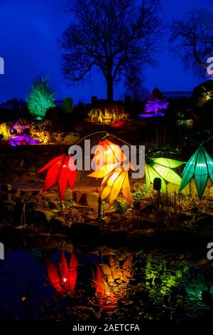 Bunte Pflanze geformte Leuchten Leuchten 2019, RHS Wisley in der Nähe von Woking, Surrey, eine jährliche saisonale Veranstaltung der Illuminationen im Botanischen Garten Stockfoto