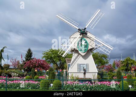 Die Mühle im Tulip Stadt im Skagit Valley, Mount Vernon, Washington, USA. Stockfoto