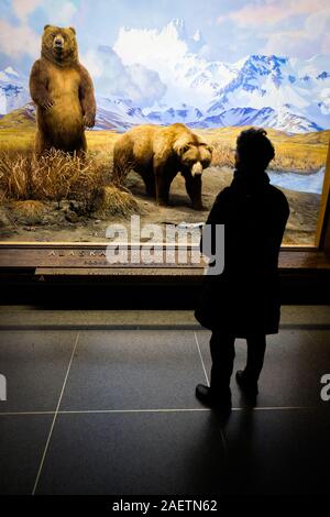 Die Besucher des American Museum of Natural History Blick auf die Exponate im Museum Halle der Nordamerikanischen Säugetiere. Stockfoto
