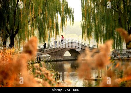 Personen genießen Sie den Herbst in Yuyuantan Park in Peking, China, 6. November 2019. Stockfoto