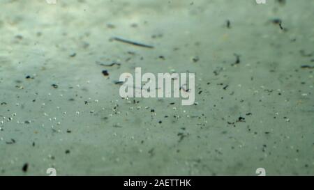 Kunststoff wird in Wasserbecken und schrittweise durch Sonne und Wellen zerstört. Plastische Teilchen sammeln sich in Felder und Klumpen auf der Wasseroberfläche und in der t Stockfoto