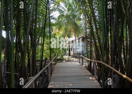 Ein kleines Gebäude am Ende ein Weg durch einen Bambus Wald im Süden Vietnams in der Nähe des Mekong Delta und Saigon, Vietnam Stockfoto