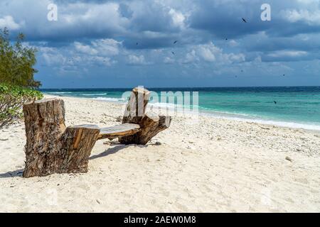 Lady Elliot Island shoreline Great Barrier Reef, Australien Stockfoto