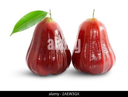 Rose Äpfel oder chomphu auf Weiß mit Freistellungspfad isoliert Stockfoto