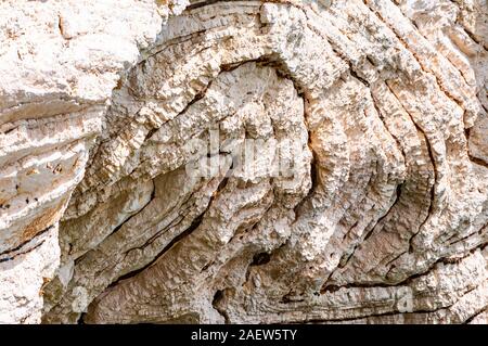 Detailansicht auf Kalkstein Textur Fragment auf die Küste des Gargano in Apulien, Italien. Felsformationen Beispiel Stockfoto