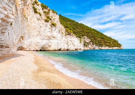 Wunderschönen Kiesstrand von hohen massiven weißen Kalkstein Felsen von Adria Wellen und Wind erodiert umgeben. Grüne Aleppo-kiefern wächst an. Stockfoto