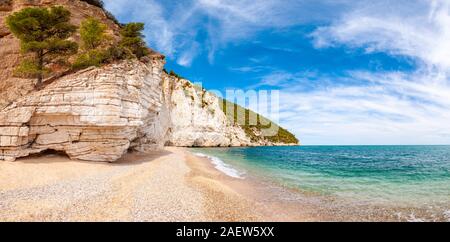 Wunderschönen Kiesstrand von hohen massiven weißen Kalkstein Felsen von Adria Wellen und Wind erodiert umgeben. Grüne Aleppo-kiefern wächst an. Stockfoto