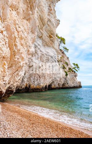 Wunderschönen Kiesstrand von hohen massiven weißen Kalkstein Felsen von Adria Wellen und Wind erodiert umgeben. Grüne Aleppo-kiefern wächst an. Stockfoto