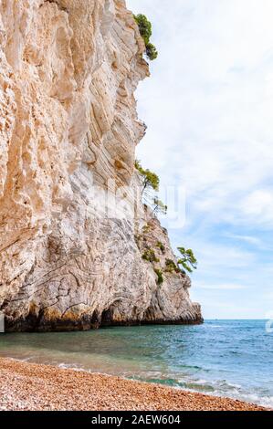 Wunderschönen Kiesstrand von hohen massiven weißen Kalkstein Felsen von Adria Wellen und Wind erodiert umgeben. Grüne Aleppo-kiefern wächst an. Stockfoto