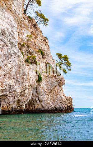 Wunderschönen Kiesstrand von hohen massiven weißen Kalkstein Felsen von Adria Wellen und Wind erodiert umgeben. Grüne Aleppo-kiefern wächst an. Stockfoto