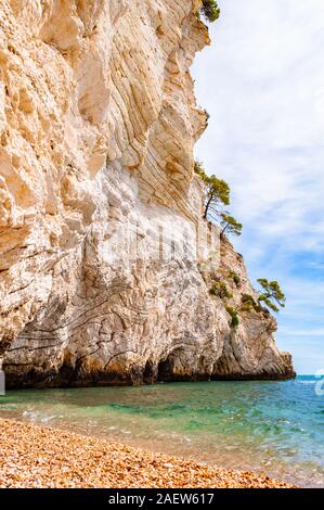 Wunderschönen Kiesstrand von hohen massiven weißen Kalkstein Felsen von Adria Wellen und Wind erodiert umgeben. Grüne Aleppo-kiefern wächst an. Stockfoto