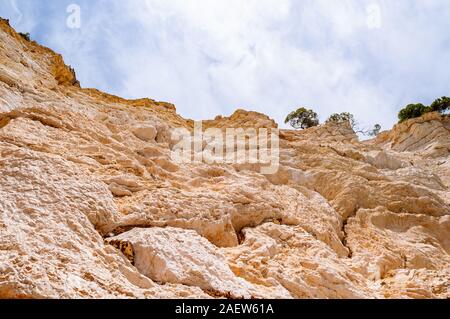 Hohe Betrachtungswinkel auf hohen massiven weißen Kalkstein Felsen von Adria Wellen und Wind erodiert. Grüne Aleppo-kiefern wachsen auf den Felsen. Stockfoto