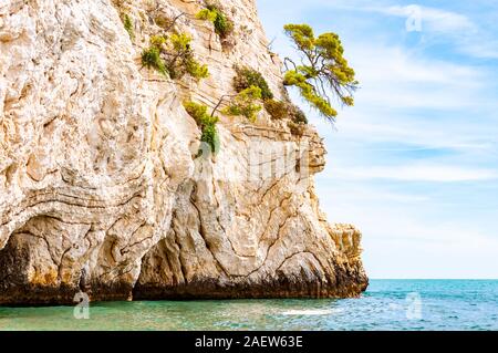 Wunderschönen Kiesstrand von hohen massiven weißen Kalkstein Felsen von Adria Wellen und Wind erodiert umgeben. Grüne Aleppo-kiefern wächst an. Stockfoto