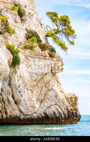 Wunderschönen Kiesstrand von hohen massiven weißen Kalkstein Felsen von Adria Wellen und Wind erodiert umgeben. Grüne Aleppo-kiefern wächst an. Stockfoto