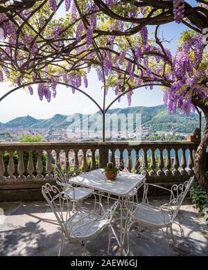 Fantastische Veranda von bunten Wisteria an einem schönen Frühlingstag abgedeckt Stockfoto